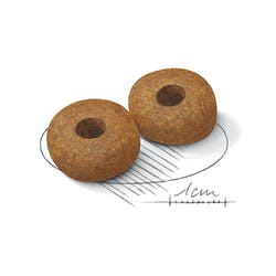 Medium Ageing 10+ 15 Kg