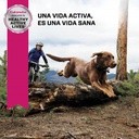 Eukanuba Adult Large Breed 3 KG