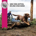 Eukanuba Adult Senior large breed 3 KG