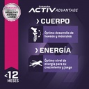 Eukanuba Puppy Large Breed 3 KG