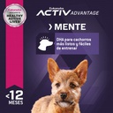 Eukanuba Puppy Small Breed 15 KG