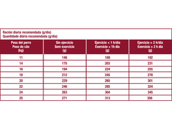 Medium Dermacomfort 15 Kg