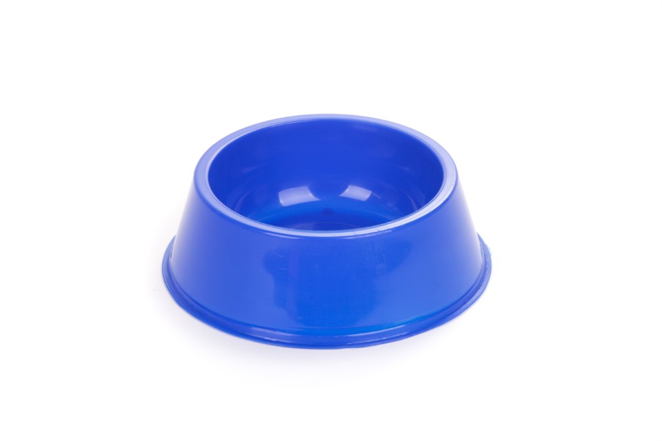 COMEDERO MEDIANO -PETS PLAST