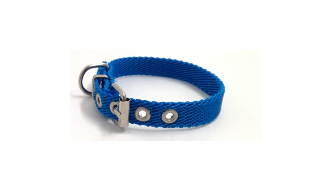 COLLAR NYLON FINO LISO 26X1,5CM. MISTER HUESO