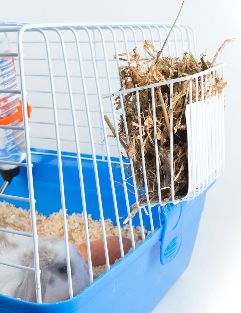 COMEDERO - NELSONI RANCH