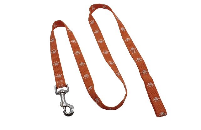 CORREA "PATITAS Y HUESITOS" MEDIA 120X2CM MISTER HUESO