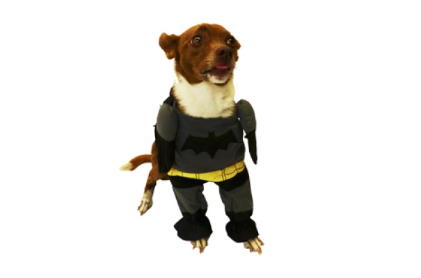 DISFRAZ BATMAN Nº1 25 CM.- PER-ROS