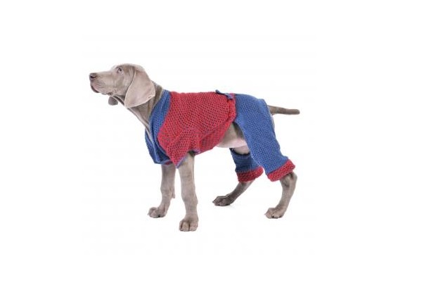 ENTERITO DE HILO ELEGANCE TALLE 25 (1) PER-ROS