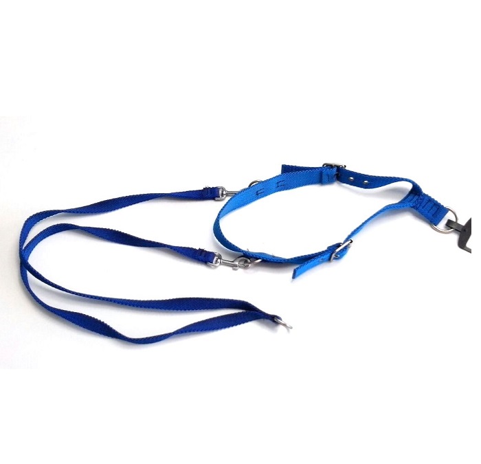 ARNES CINTA 25 MM COLLAR 55-70CM - MISTER HUESO