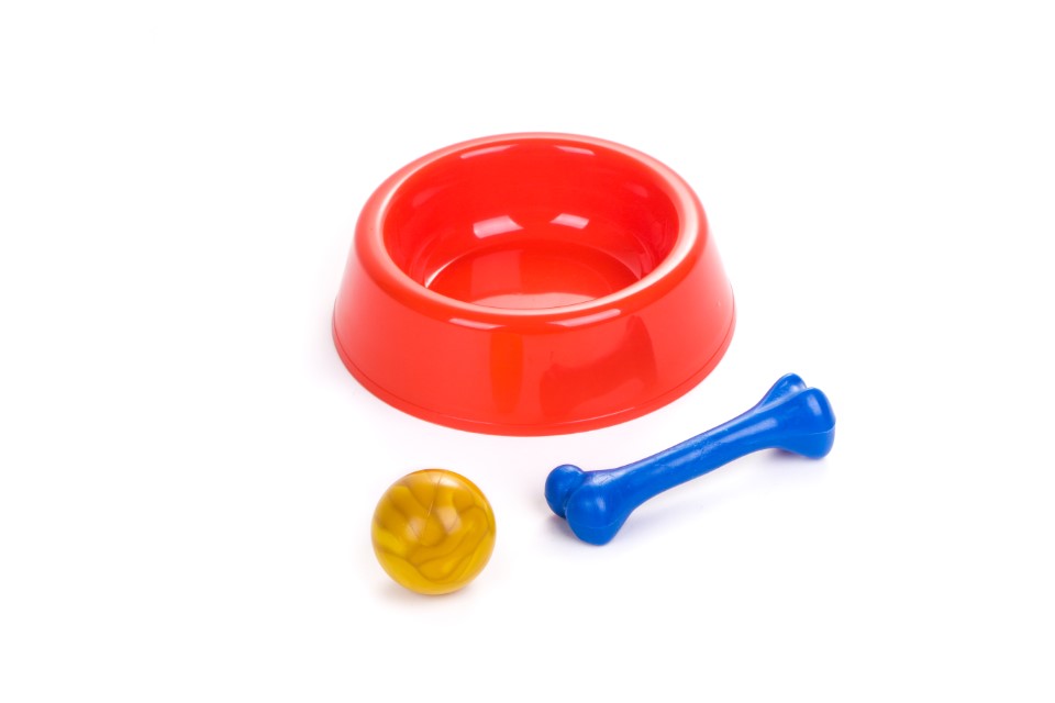 KIT PERRO GRANDE - PETS PLAST