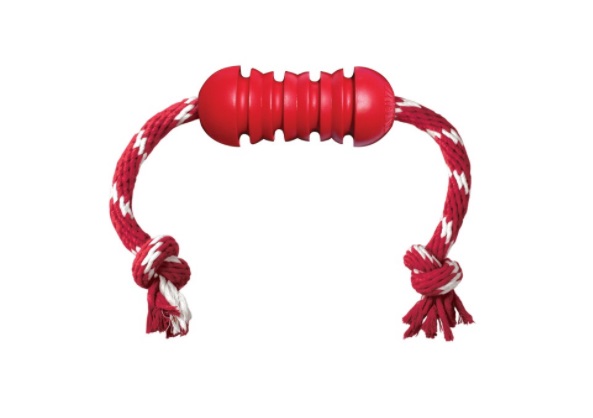 KONG DENTAL C/SOGA MEDIUM DK2 - KONG