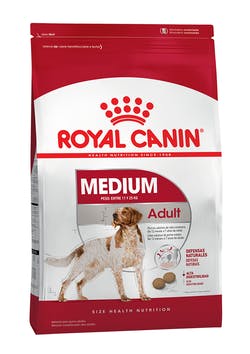 Medium Adult