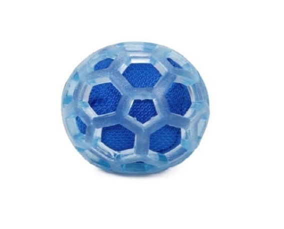 METEOR CESAR MILLAN - IMPORTADO