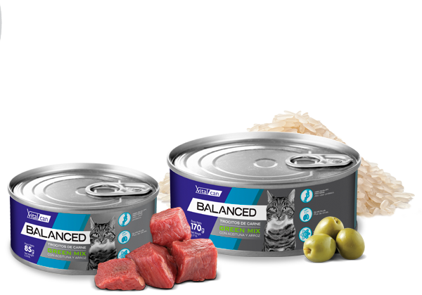 Vital Can Balanced Gato Orange Mix 85gr 