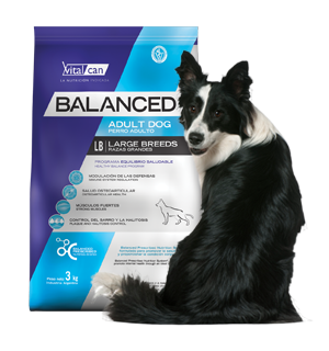 Vital Can Balanced Perro Adulto Raza Grande X 15kg.