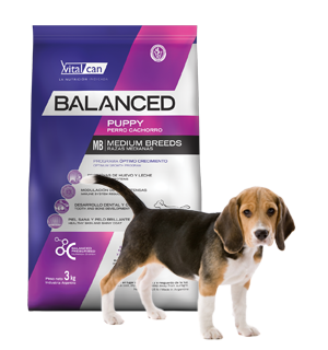 Vital Can Balanced Perro Cachorro Raza Mediana X 1 Kg.
