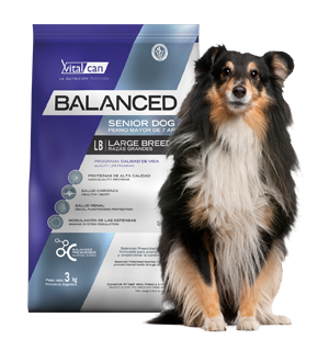 Vital Can Balanced Perro Senior Raza Grande X 3 Kg.
