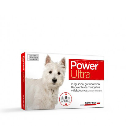 POWER ULTRA PERRO HASTA 10 KG (ROJA)