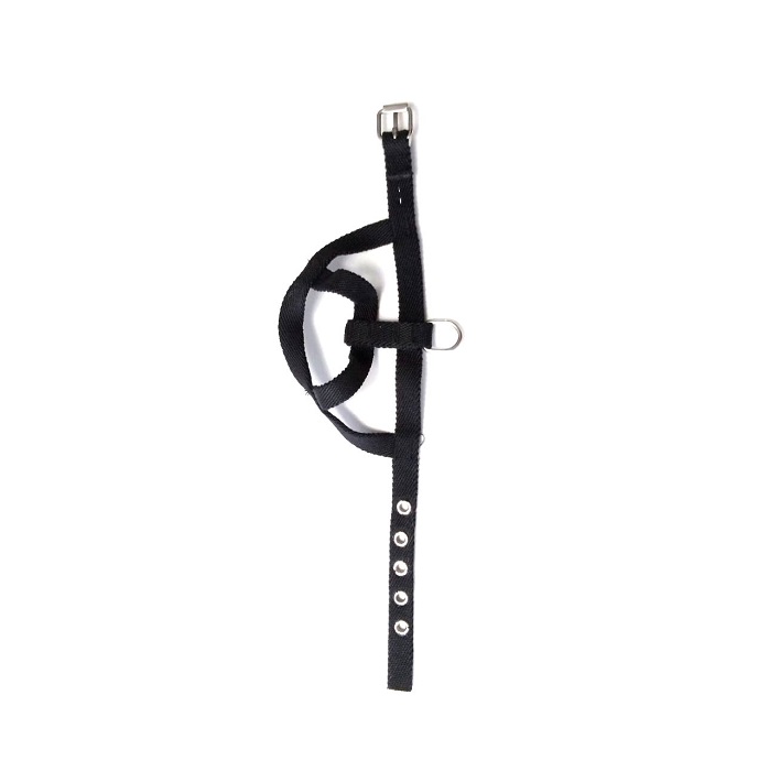 PRETAL N°1 - FAMILY PETS