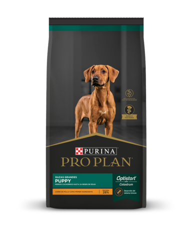 Purina Pro Plan Puppy Large Breed 3kg
