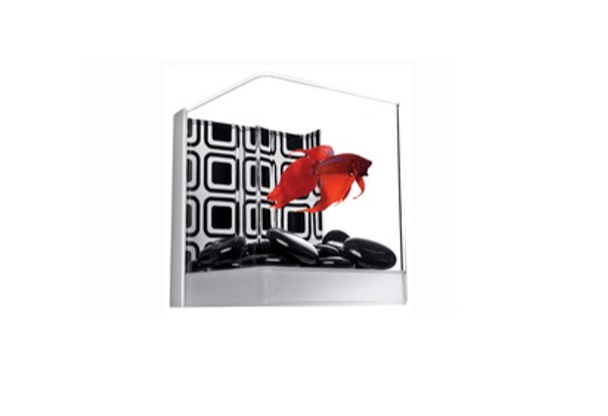 BETTA KIT CON GEMAS NEGRAS - TETRA