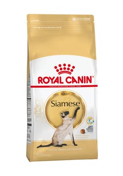 Siamese