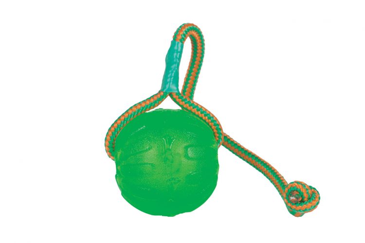 SWING &amp; FLING CHEW BALL-873199001093