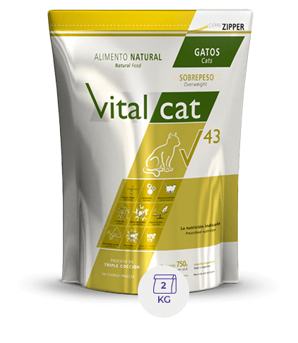 Vital Can V43 Doypack Overweight X 2 Kg.