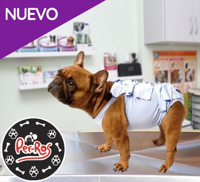 BATA POST QUIRURGICA MEDIANA - PER-ROS