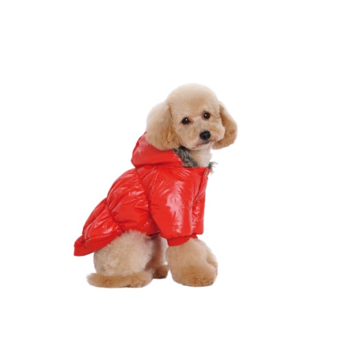 CAMPERA INFLABLE C/PIEL TALLE M - PER-ROS