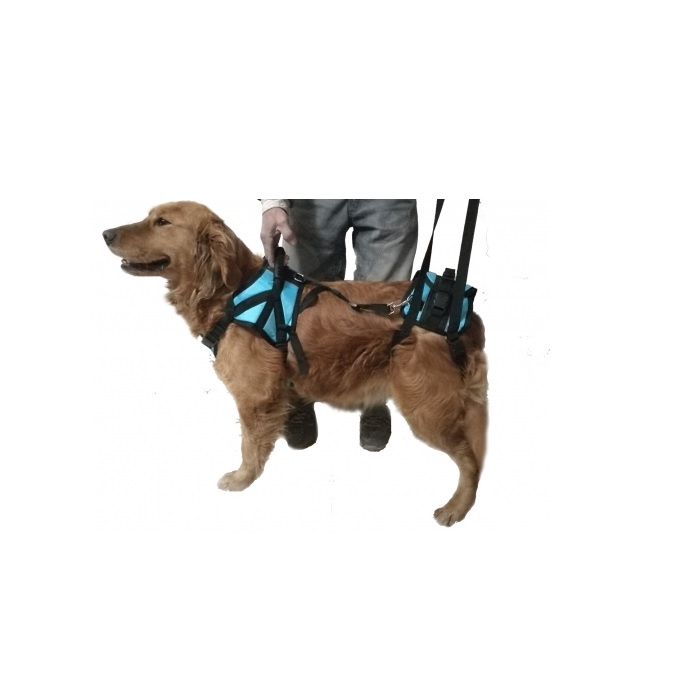 ORT. ARNES PARA POSTERIORES EXTRA LARGE - PER-ROS