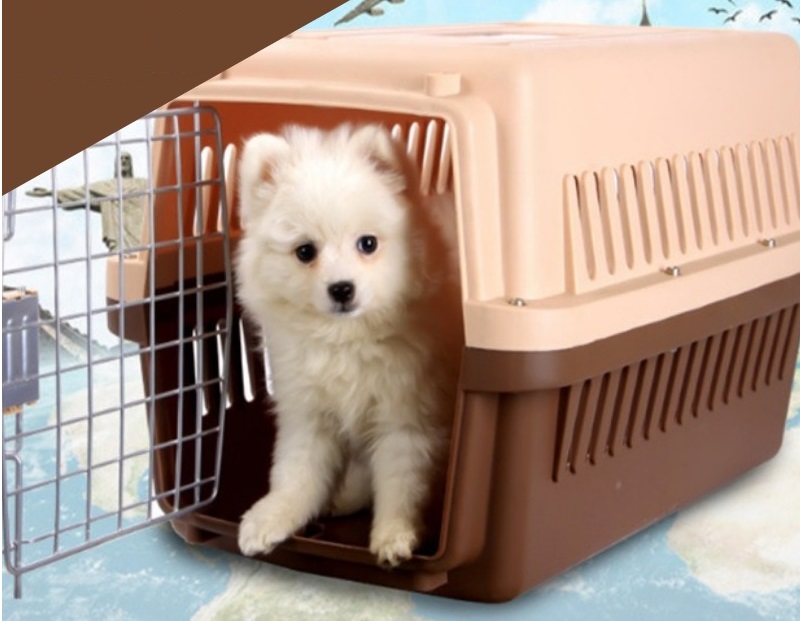 TRANSPORTADORA LINEA GLORIA Nº1 48X32X30 - PER-ROS