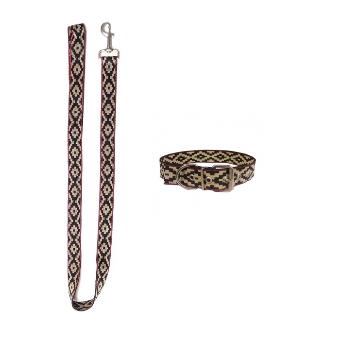 JUEGO COLLAR 15MM X 33CM Y CORREA 15MM X 1,20MT GUARDA PAMPA
