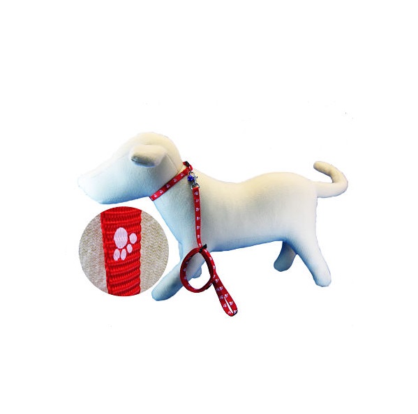 CONJ.CORREA COLLARC/CASC.PATITAS 10MM X 120 - MILLEX