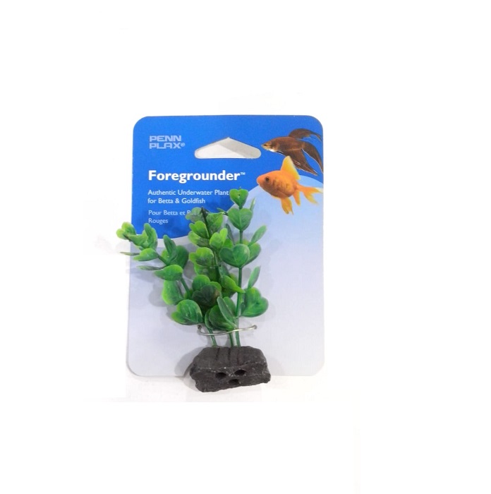 PLANTA SMALL CLOVER  PPBT13 - PENNPLAX