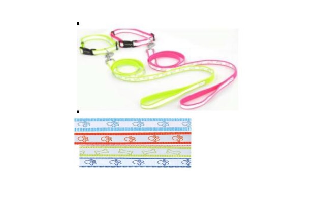 CONJUNTO CORREA Y COLLAR REFLECTIVO - IMPORTADO