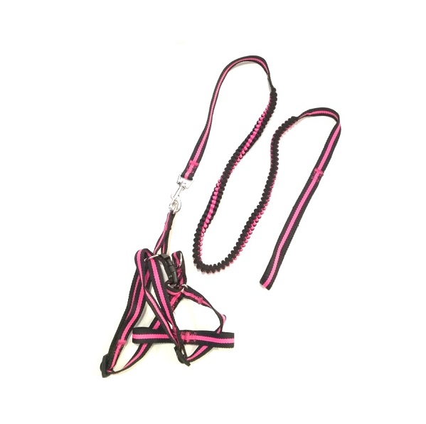 CONJUNTO CORREA ELASTIZADA CON PRETAL - MILLEX