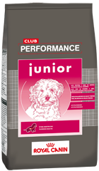 [4225150] Club Performance Dog Junior