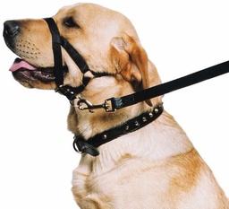 [231253] BOZAL HALTI DE ENTRENAMIENTO GRANDE - FAMILY PETS