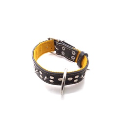[154313] COLLAR SUELA C/PUAS O APLIQUES GRANDES- PER-ROS